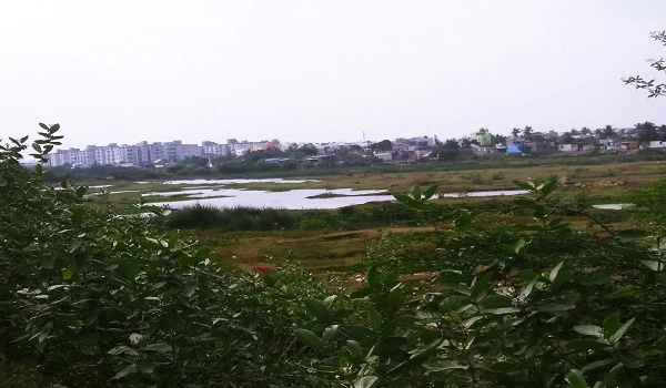 Featured Image of Kovilambakkam Lake (5 km)
