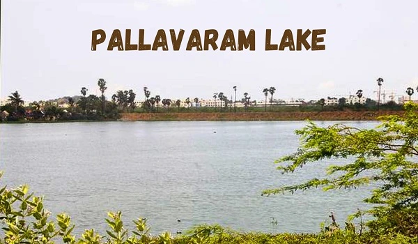 Featured Image of Pallavaram Lake (0 km)s