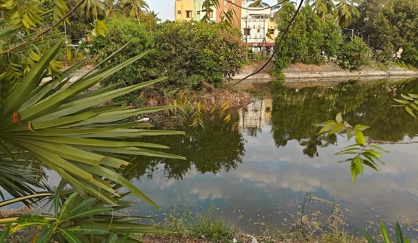 Featured Image of Pallavaram Lake View Park (0.5 km)